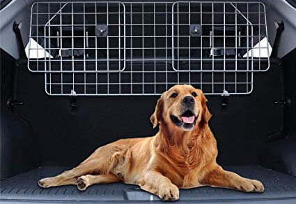 meilleure grille séparation pare chien