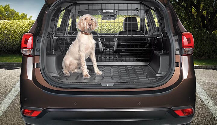 meilleur accessoire filet grille séparation pare chien