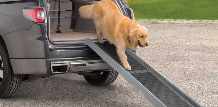meilleure rampe d'acces chien voiture coffre